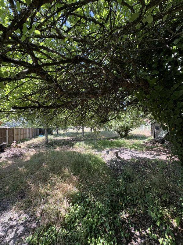 Terrain à BLANQUEFORT