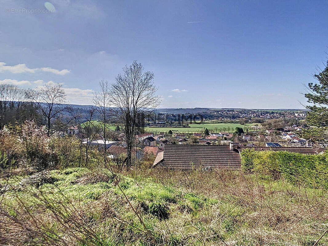 Terrain à NEUFCHATEAU