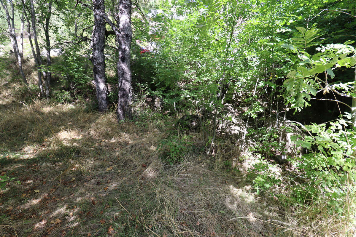 Maison à VILLARS-COLMARS