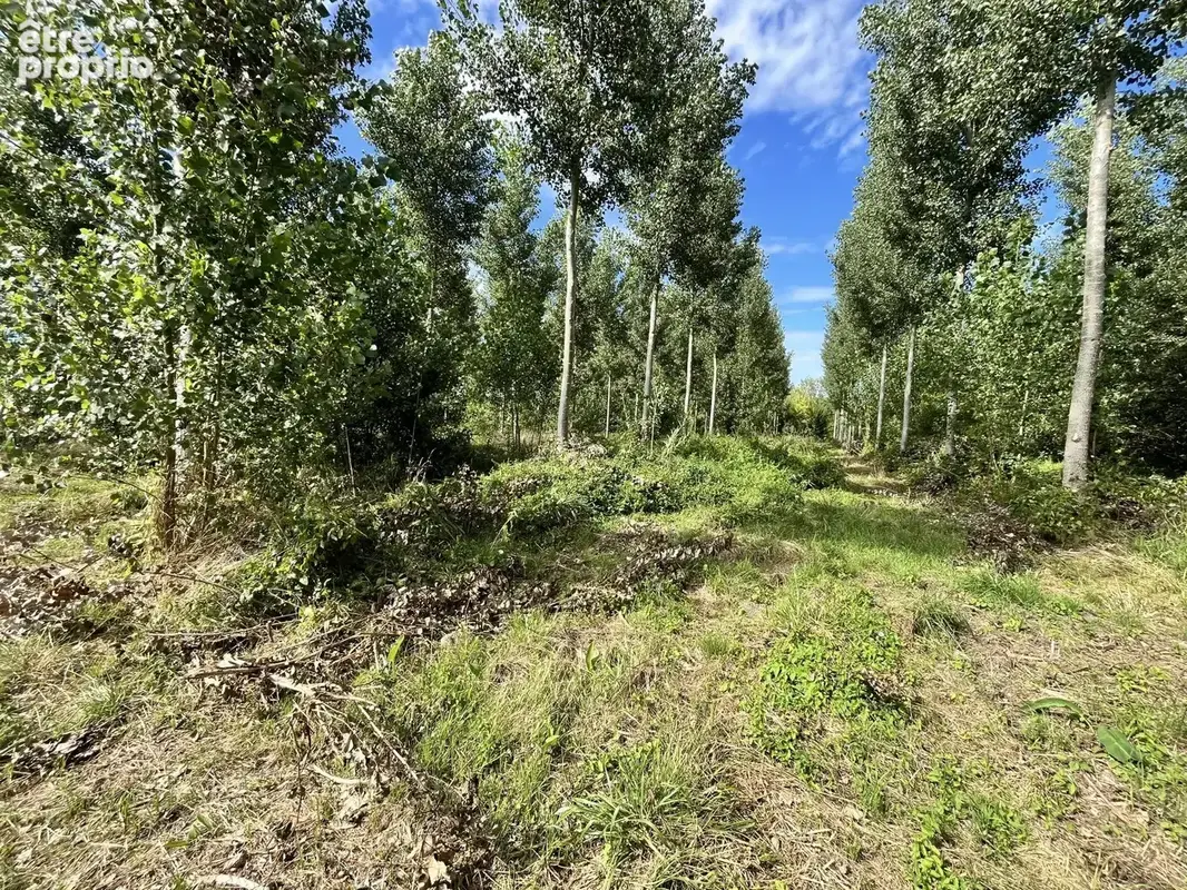 Vente Terrain Fismes(51170) 198 000ï¿œ - photo 4