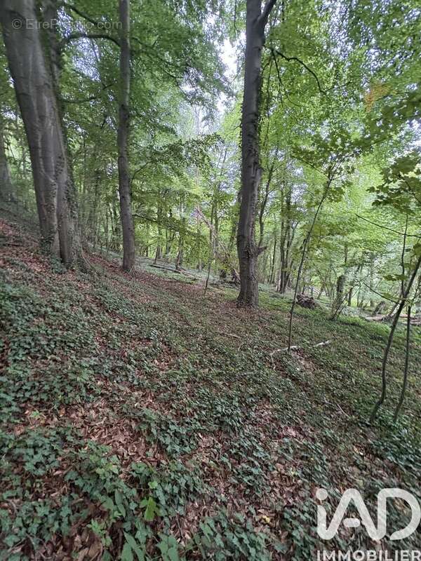 Photo 5 - Terrain à DOULLENS