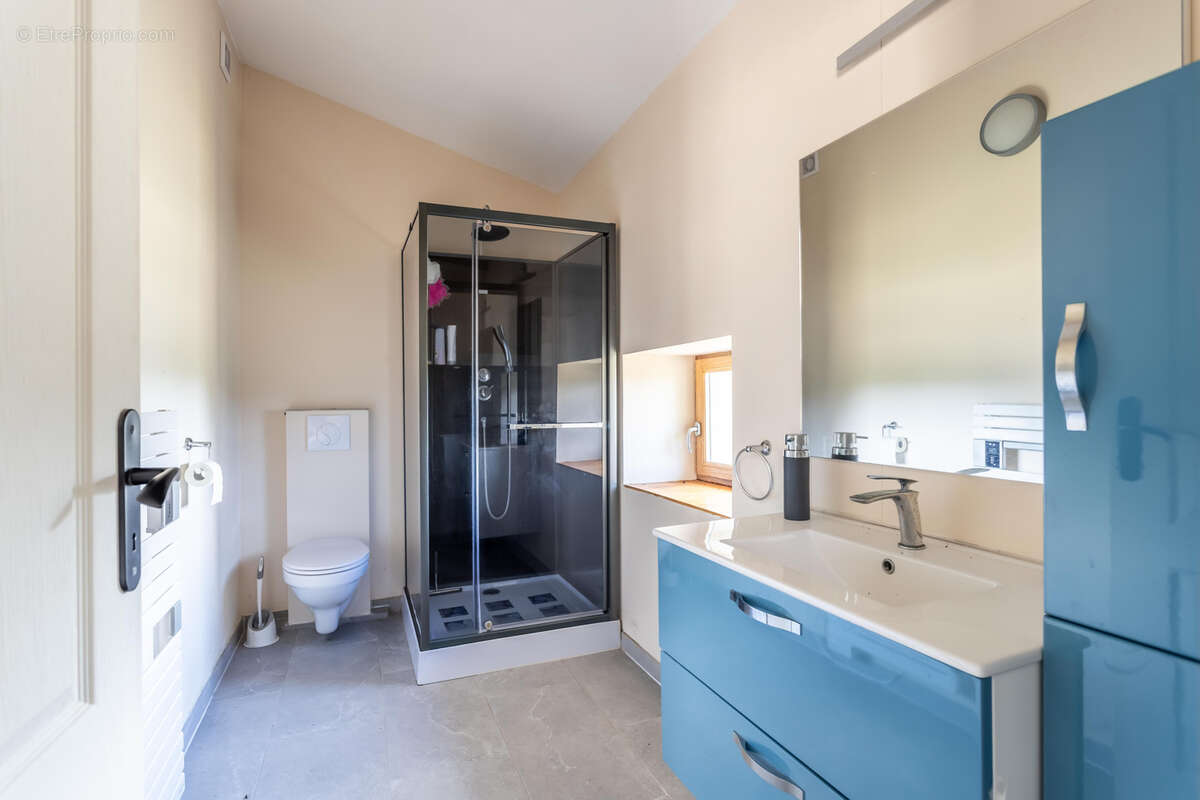 Maison de campagne, annexe, jardin, piscine, granges. - photo 17