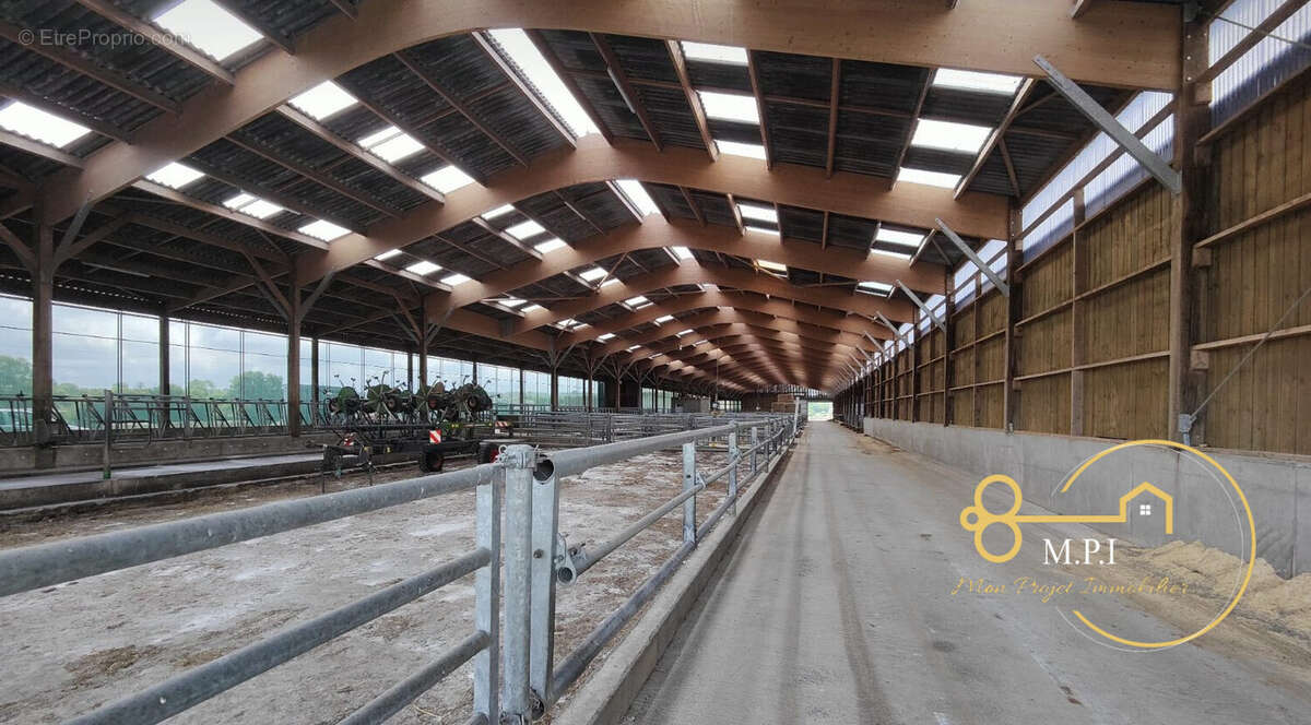 Commerce à CHAMP-HAUT