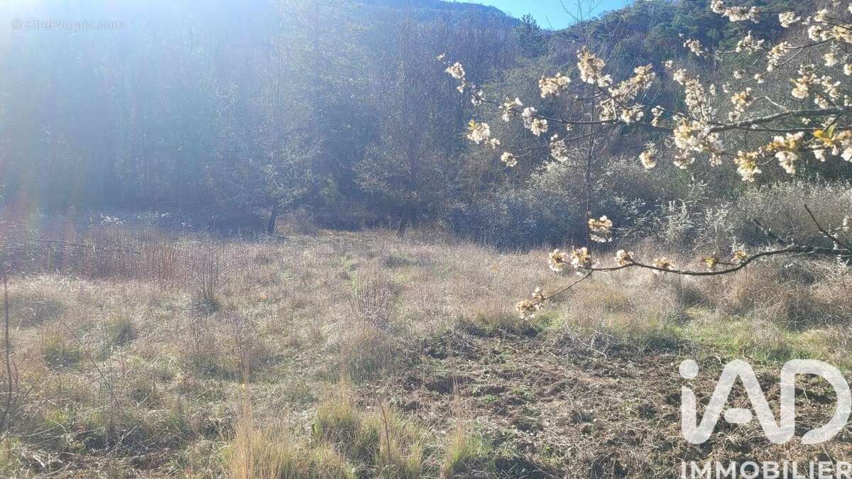 Photo 5 - Terrain à ESTOUBLON