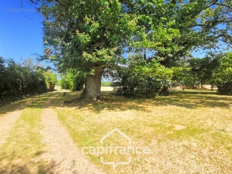 Maison à vendre 6 pièces COGNERS (72) - terrain 2315 m² - - photo 2