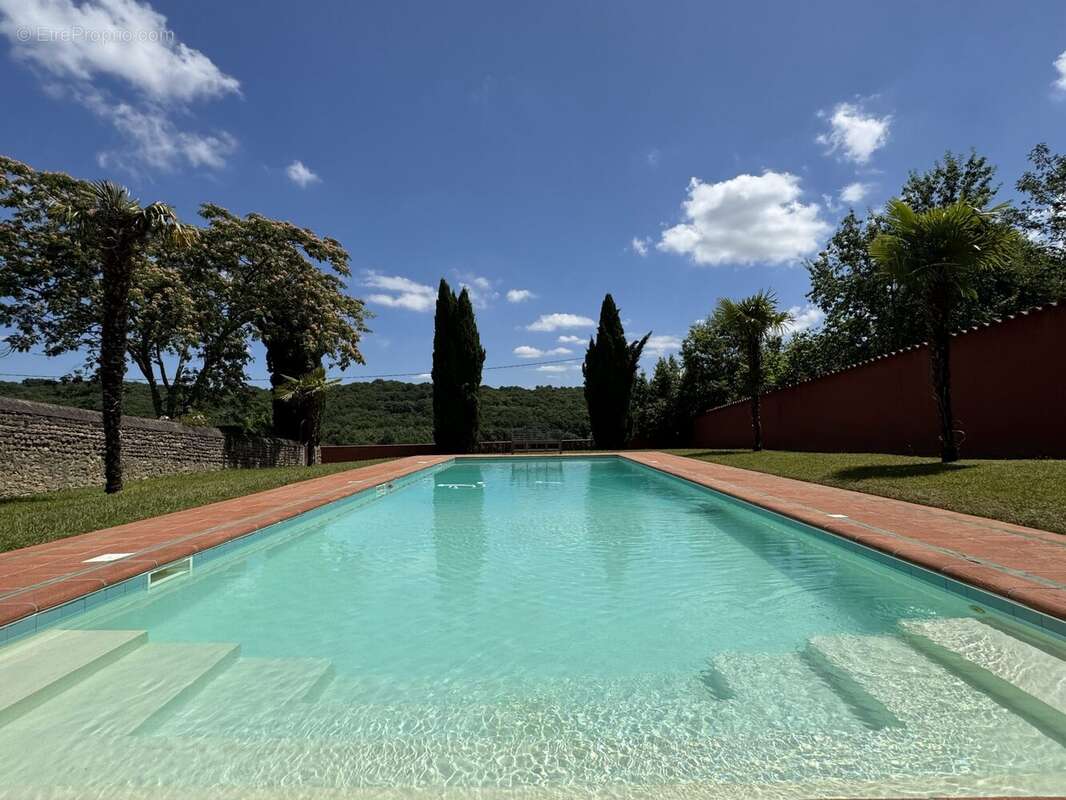Maison 398 m² à Riscle  - photo 5