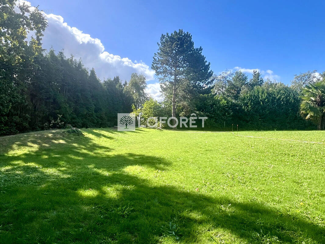 Terrain à TEMPLEUVE