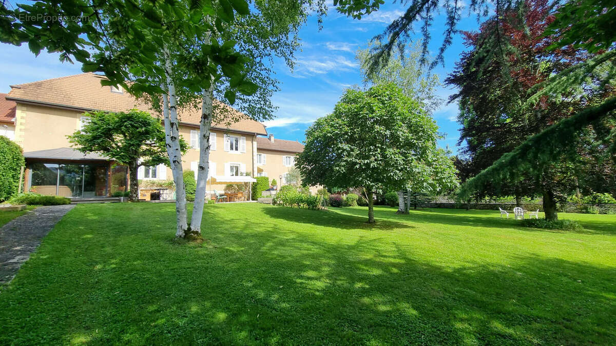 Maison à ARBOIS