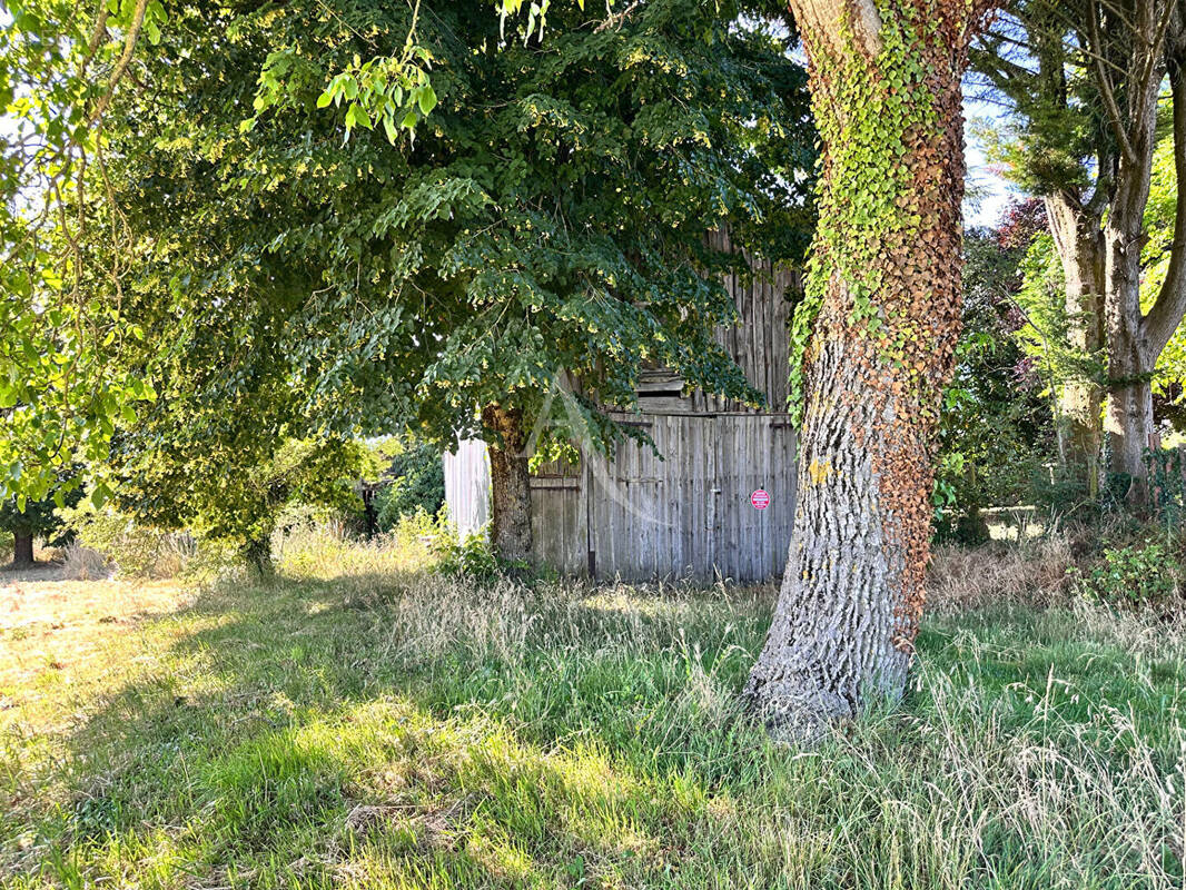 Terrain à NOYANT