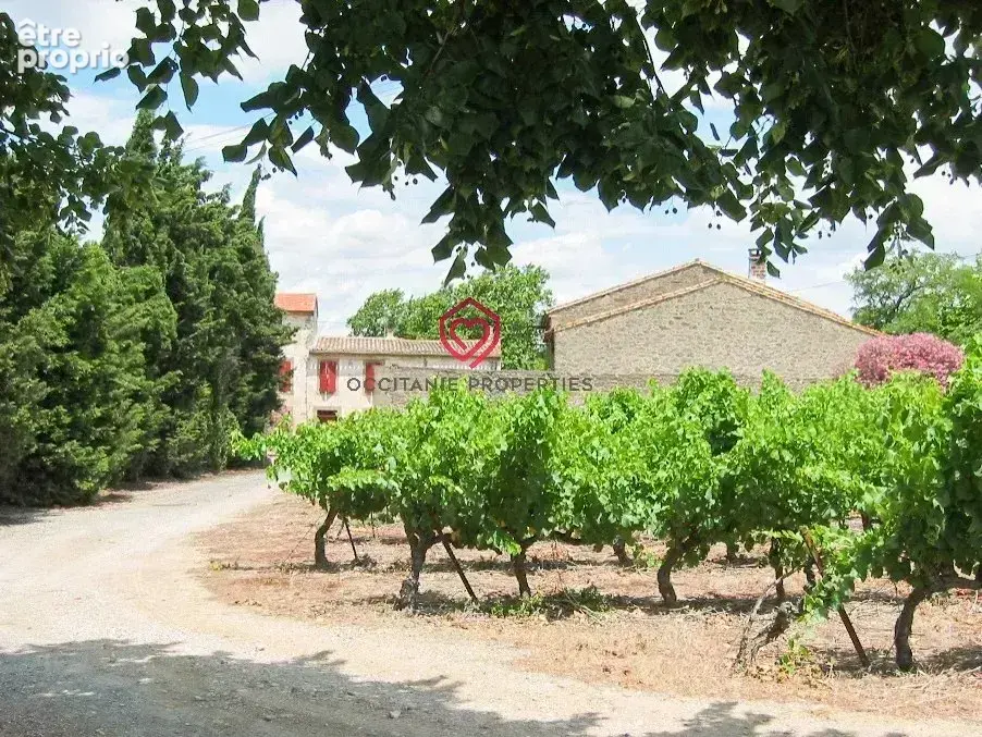 Domaine avec Gites, piscine près de Carcassonne - photo 23