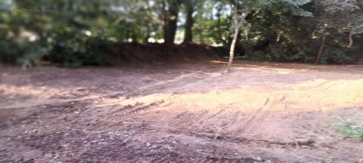 Maison à MAEL-CARHAIX