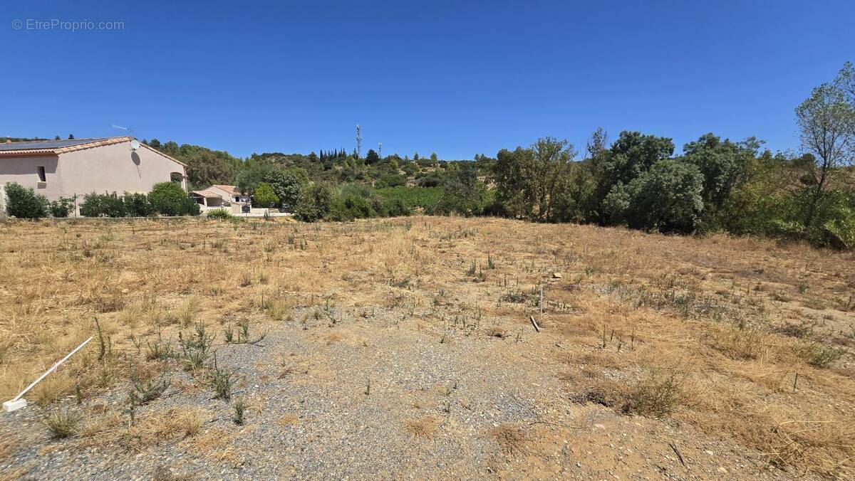 Terrain à CESSENON-SUR-ORB