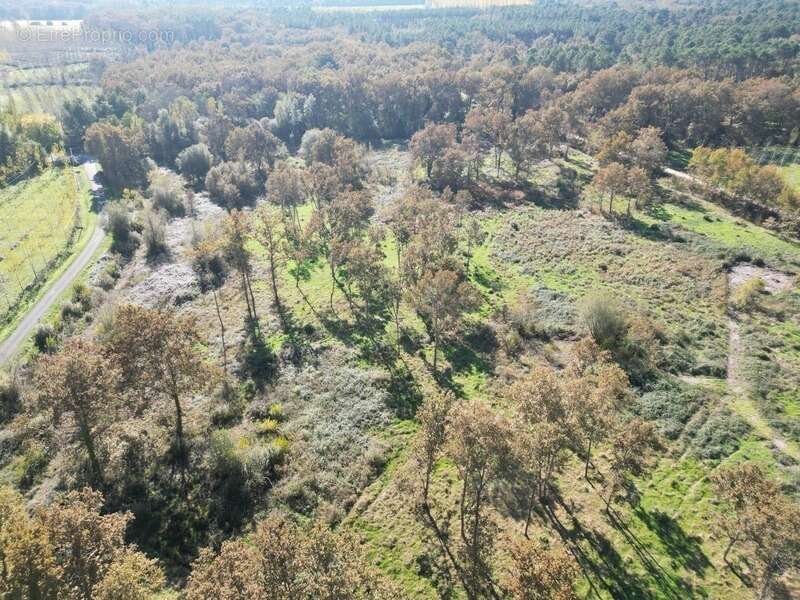 Terrain à vendre constructible ARGENTON (47) - photo 4