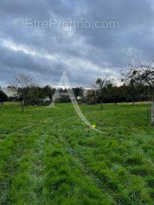 Terrain à MONTMAIN