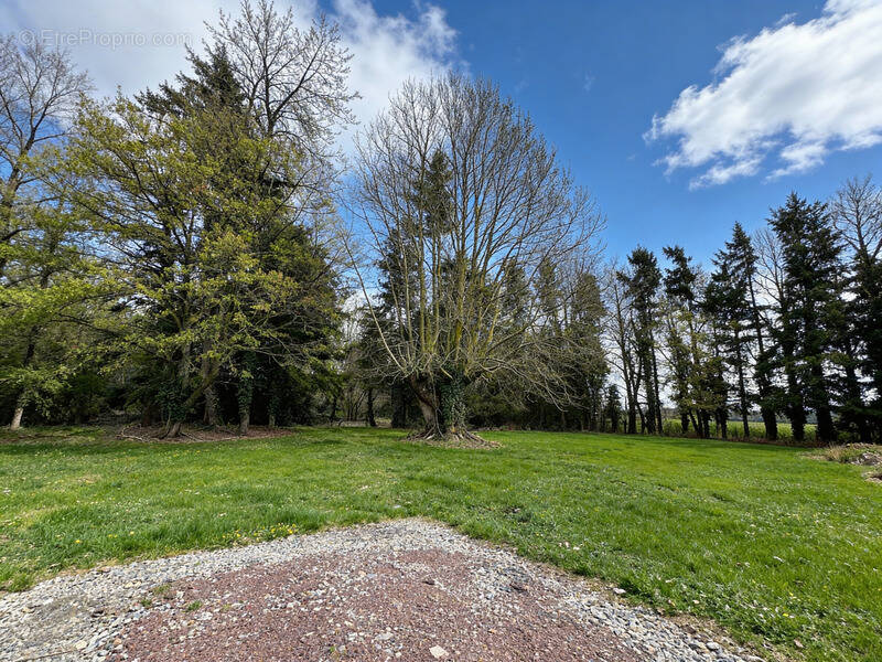Terrain à SAINT-GEORGES-DU-VIEVRE