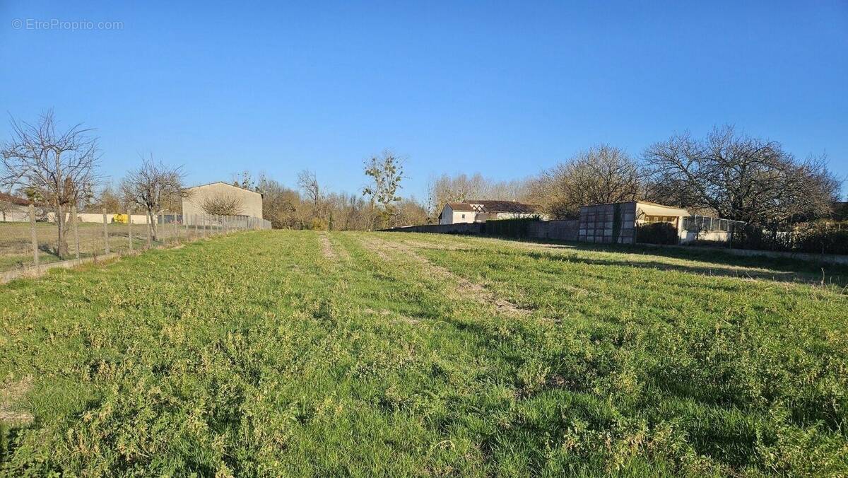 Terrain à ANGEAC-CHAMPAGNE