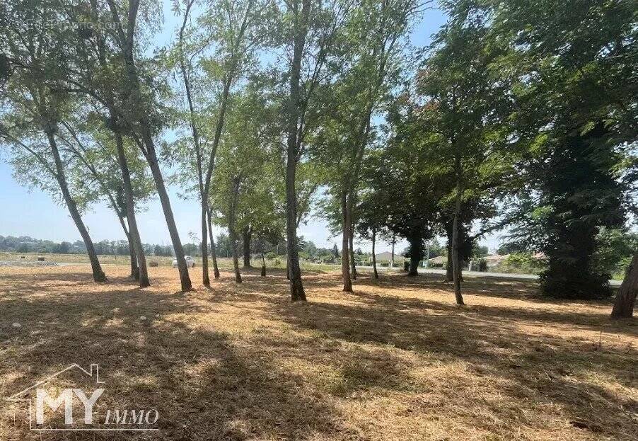 Terrain à MOULIETS-ET-VILLEMARTIN