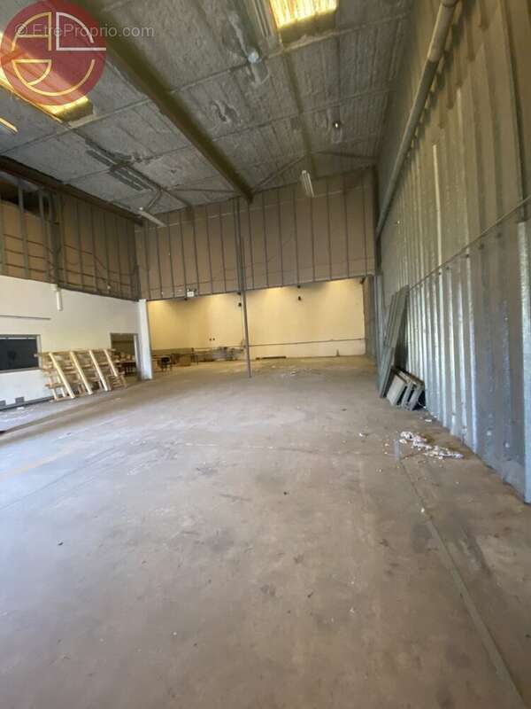 Commerce à SAINT-ALBAN