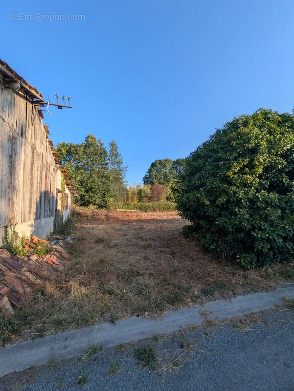 Terrain constructible de 1 793 m2   plat, non viabilisé - photo 13