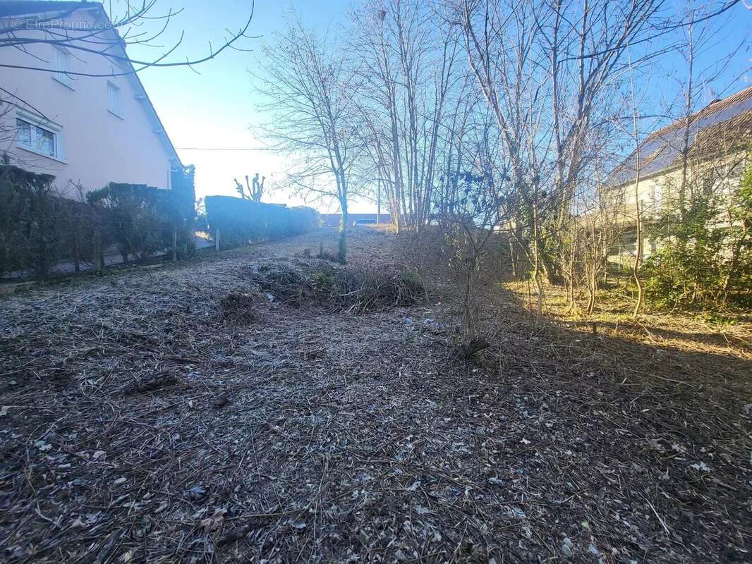 Terrain à CHALETTE-SUR-LOING