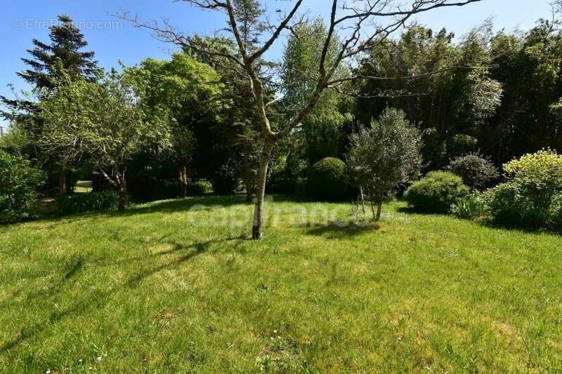 Maison à NOTRE-DAME-DE-MONTS