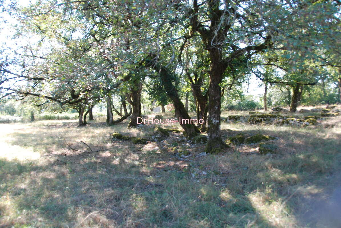 Terrain 1870 m² à Loubressac  - photo 3