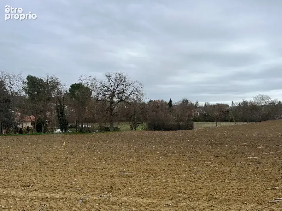 Terrain 983 m² à vendre à Verfeil (31590) - photo 2