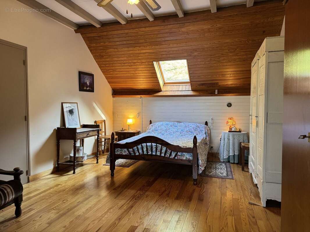 IMG2275 - Maison à SAINT-CYPRIEN