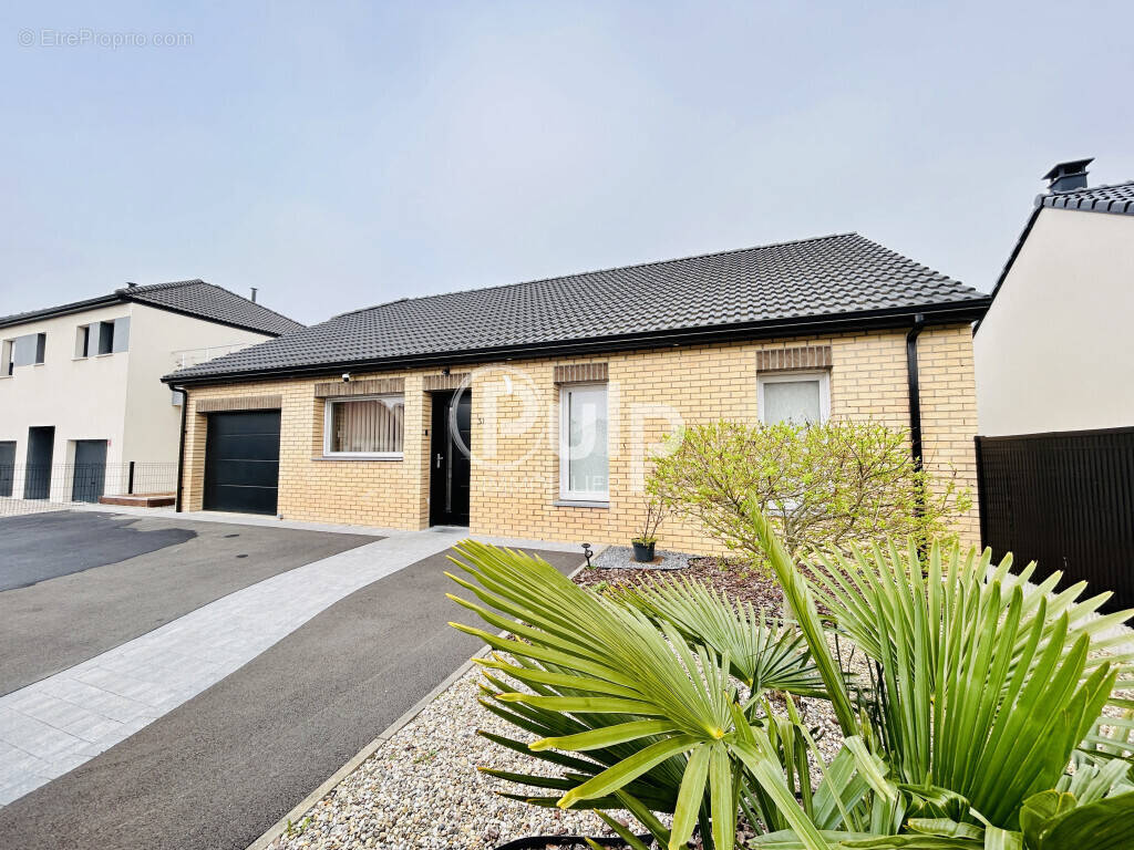 Maison à SAINS-EN-GOHELLE
