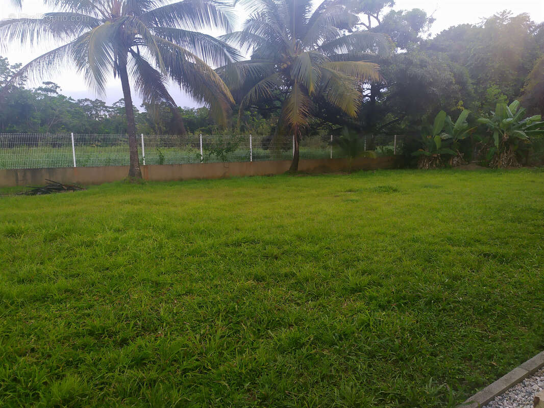 Appartement à MATOURY