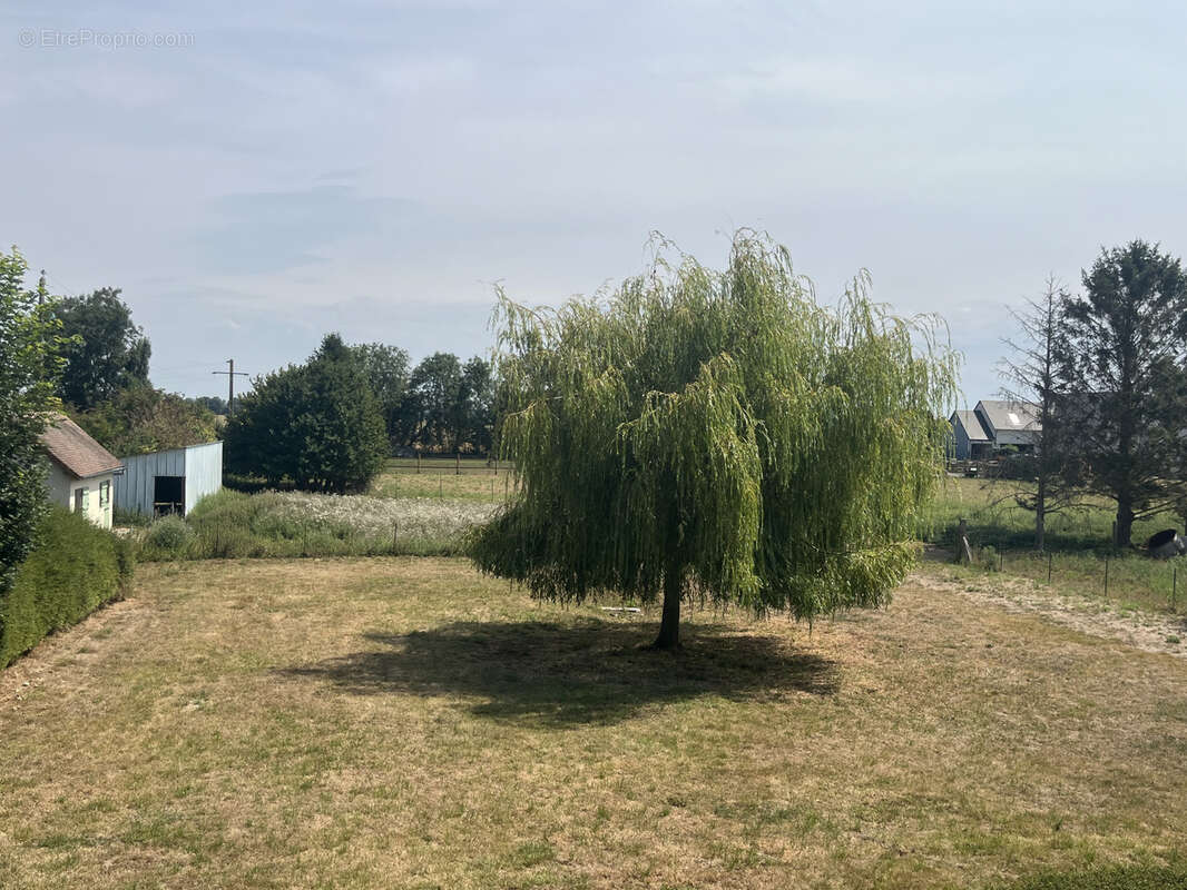 Maison 150 m² à Tour-En-Bessin  - photo 5