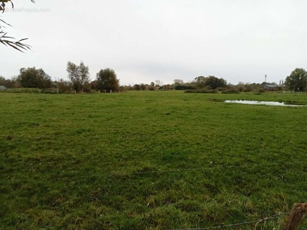 Terrain 2335 m² à Saint-Quentin-En-Tourmont  - photo 8
