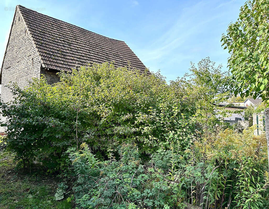 Terrain à LA WANTZENAU