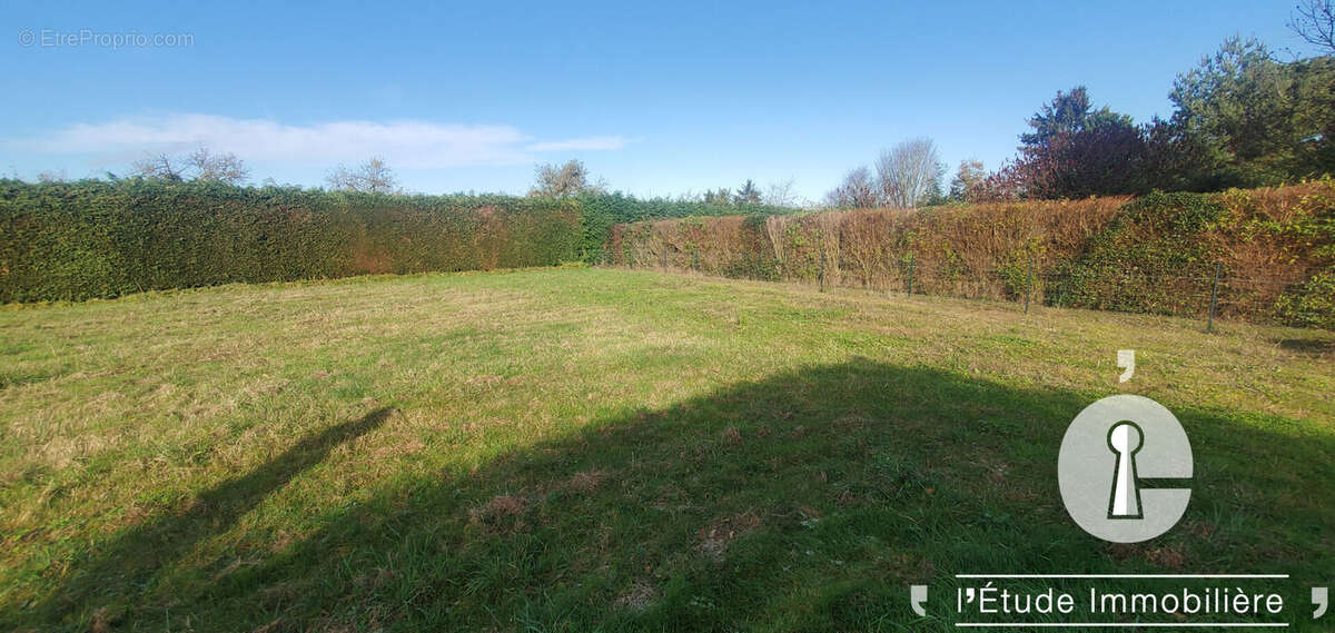 Terrain à BALLEE