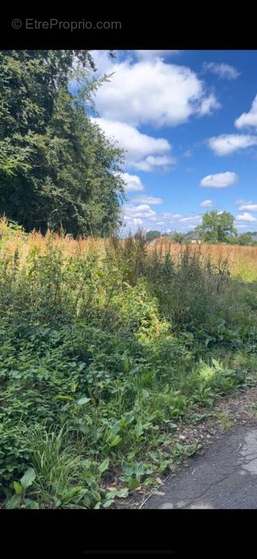 Terrain à YVETOT