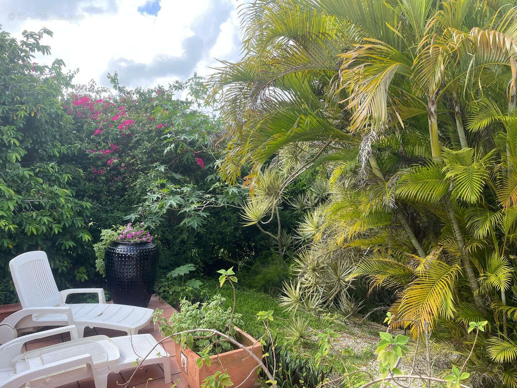 Maison à ANSE-BERTRAND