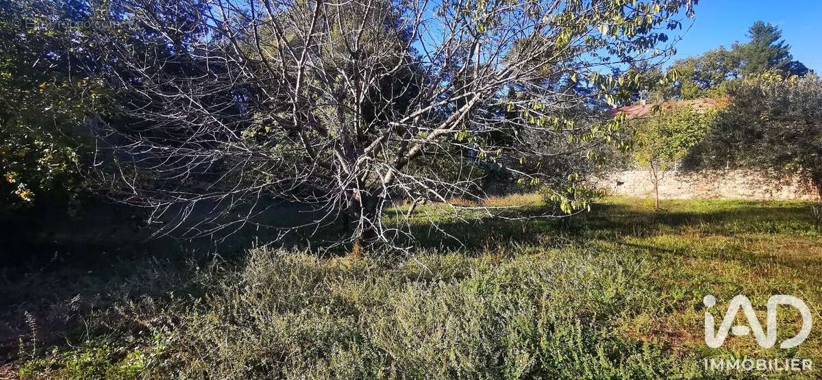 Photo 2 - Terrain à BRIGNOLES