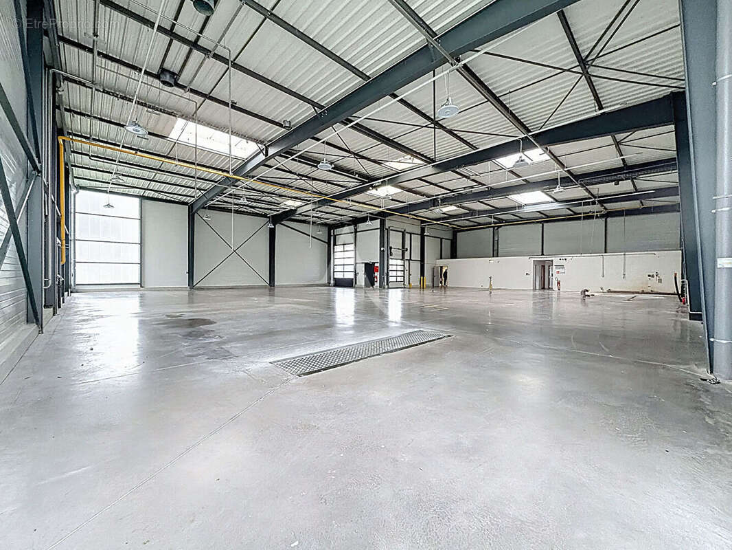 Commerce à BRISSAC-QUINCE