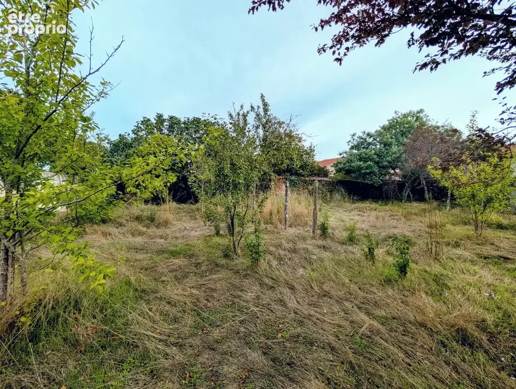 Opportunité investisseur — saint-fulgent centre - photo 12