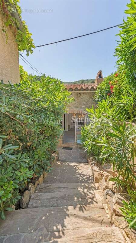 Maison à RAMATUELLE