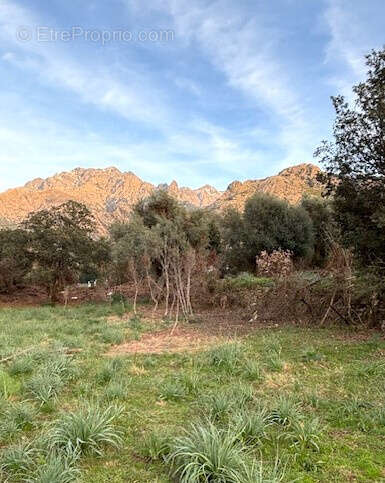 Terrain à CALENZANA