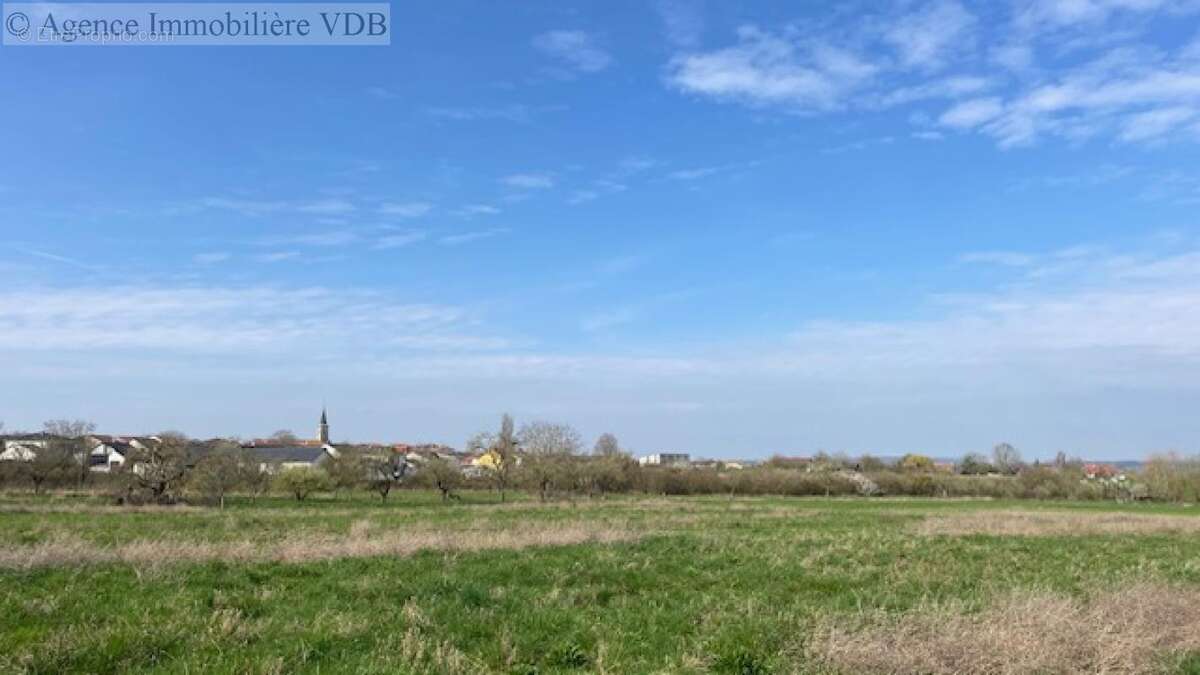 Terrain à HARAUCOURT