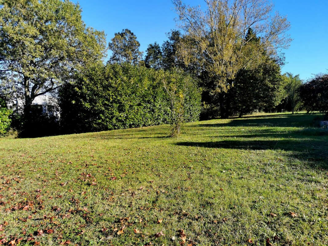 Terrain à PECHBUSQUE