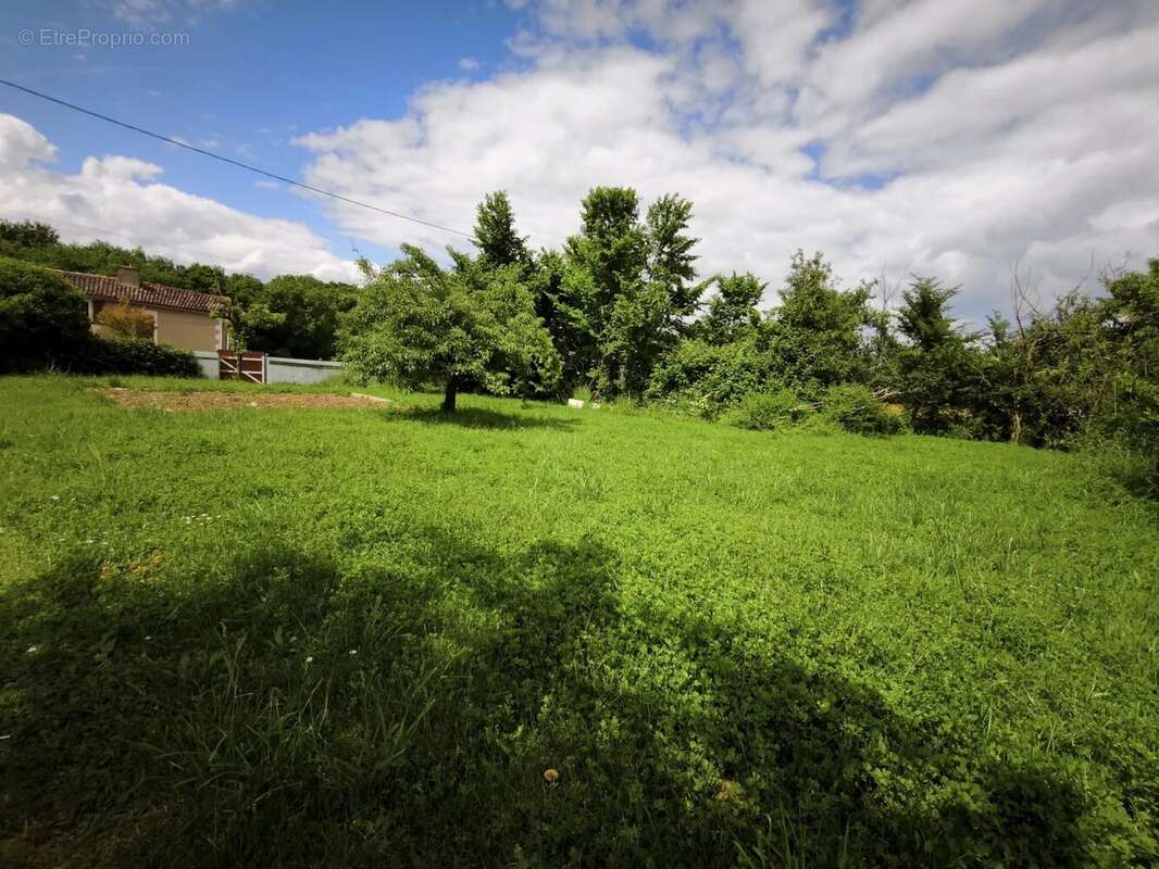 Terrain à COULOMBIERS