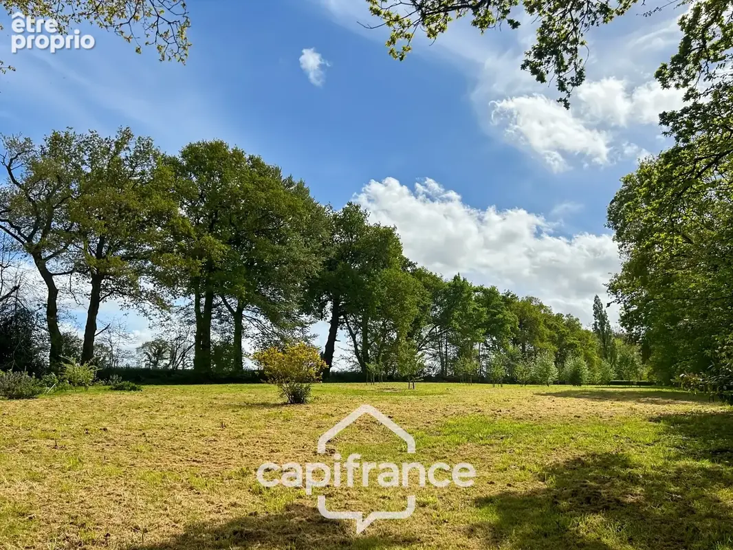 Longère en pierre rénovée – 7 600 m² de terrain – hangar de plus de 300 m² – kergrist, proche pontivy - photo 19