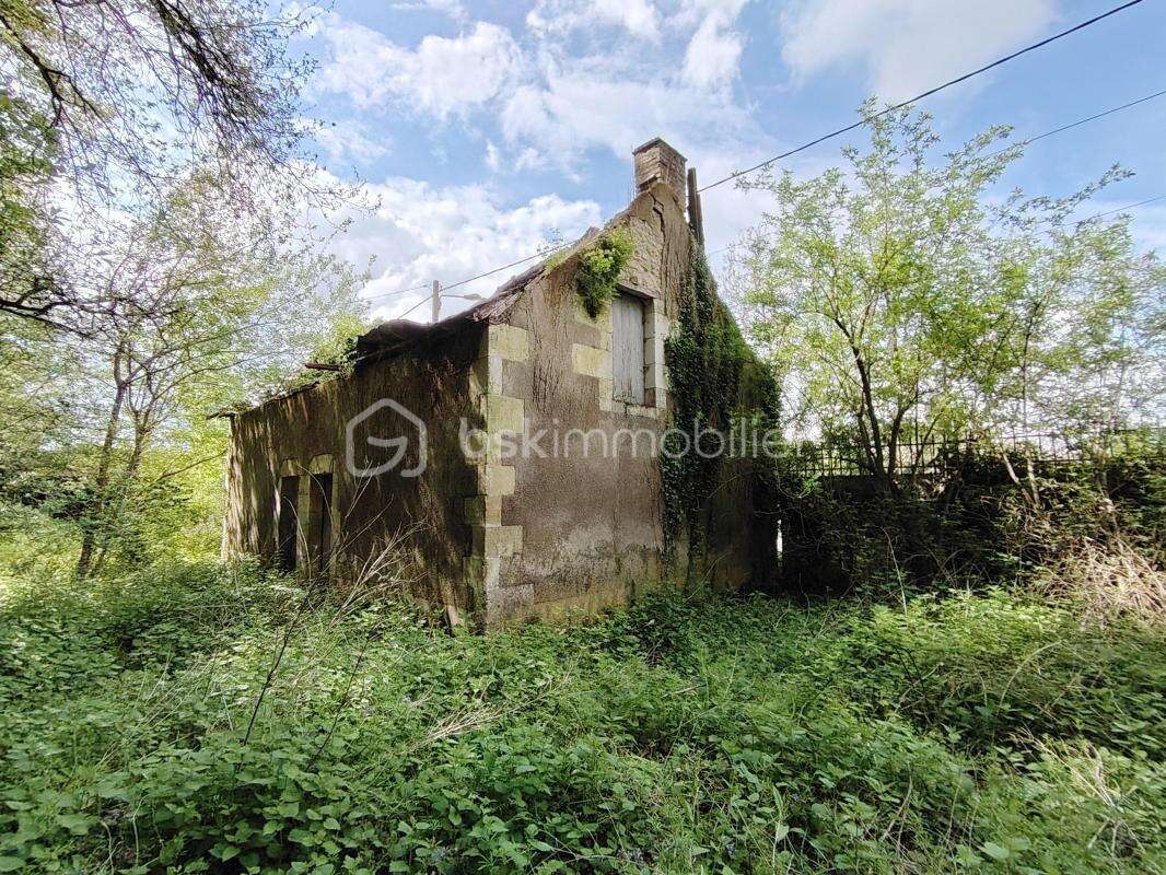 caves et terrain 3173 m² - photo 3