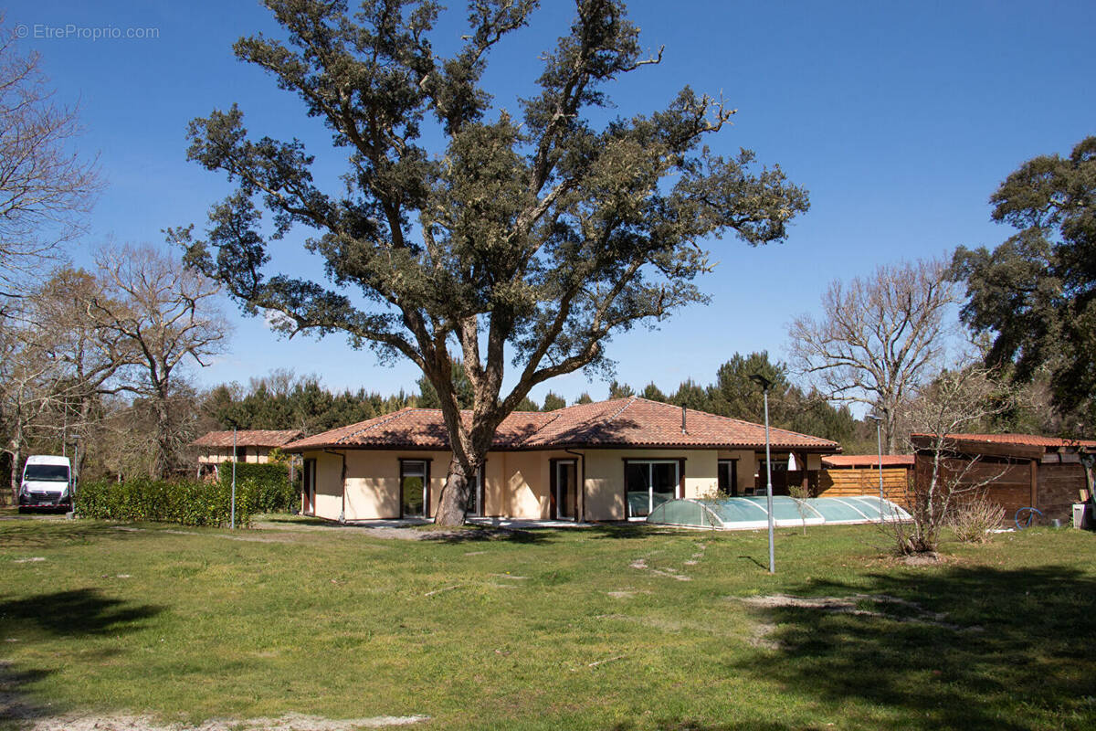 Maison à LINXE