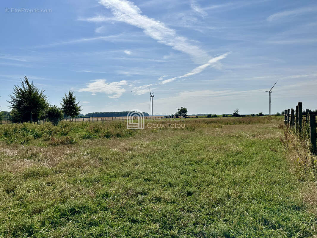 Bien atypique avec habitation et bâtiment agricole sur 2,07 hectares   PREUSEVILLE - photo 10