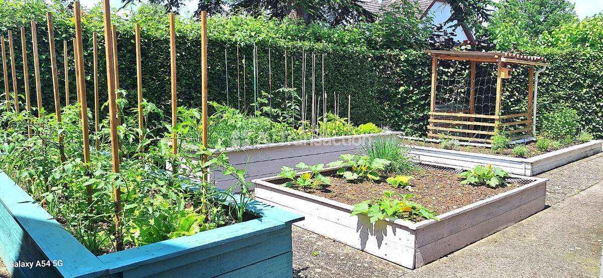 Maison à DORLISHEIM