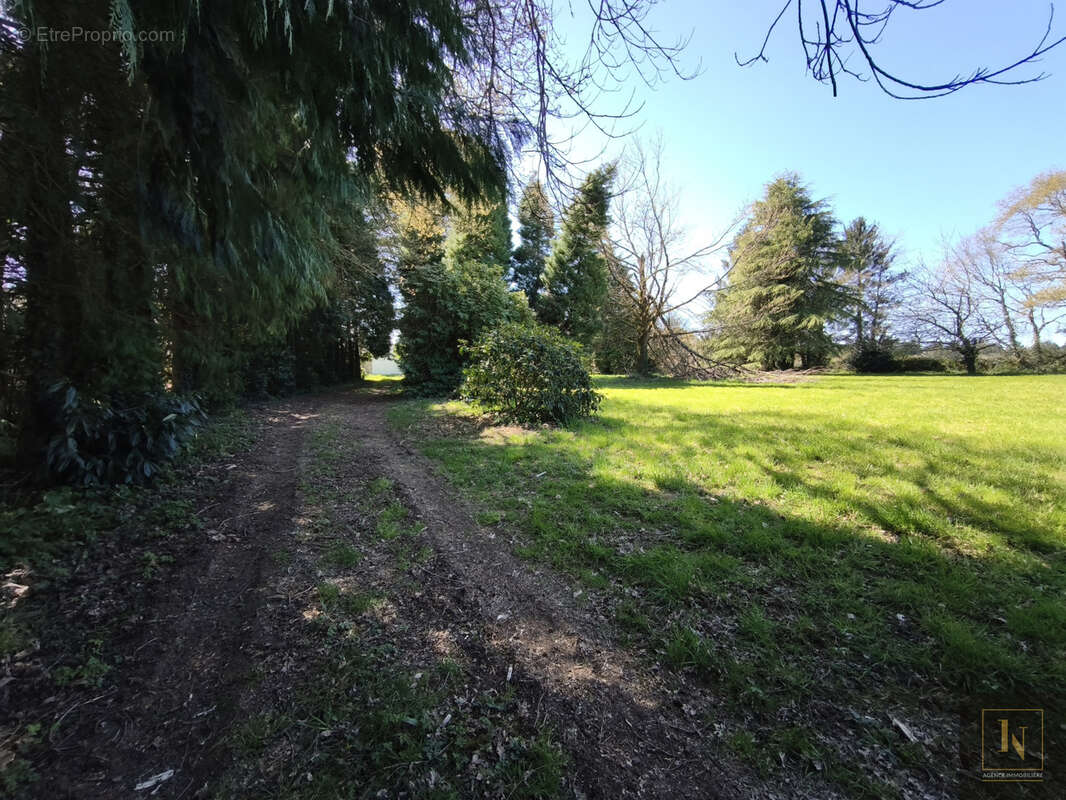 Terrain à ELVEN